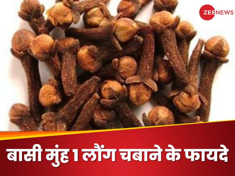 Benefits of chewing 1 clove in stale mouth