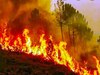 Uttarakhand Forest Fire