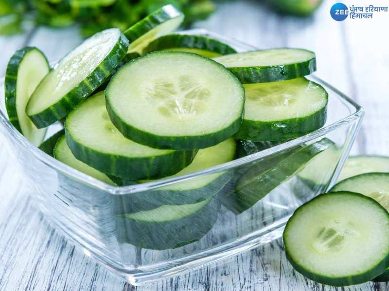 CucumberBenefits: ਗਰਮੀਆਂ 'ਚ ਰੋਜ਼ਾਨਾ ਖਾਓ ਖੀਰਾ, ਸਰੀਰ ਨੂੰ ਮਿਲਣਗੇ ਇਹ ਸ਼ਾਨਦਾਰ ਫਾਇਦੇ