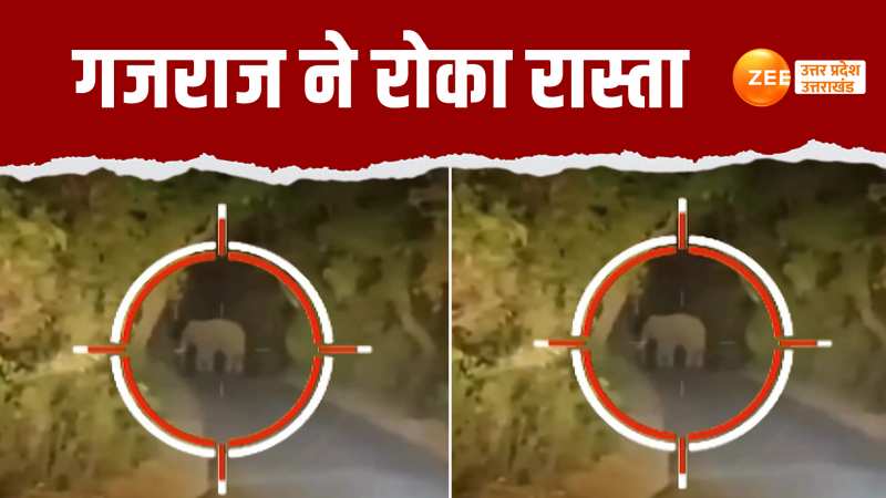 Video: अंधेरी रात में अचानक गजराज ने रोका रास्ता, डरे-सहमे लोगों का वीडियो हुआ वायरल