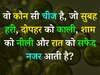 Quiz: वो कौन सी चीज है, जो सुबह हरी, दोपहर को काली, शाम को नीली और रात को सफेद नजर आती है?