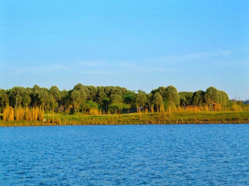 Haryana famous lakes to visit damdama jhil tilyar badkal lake travel news   