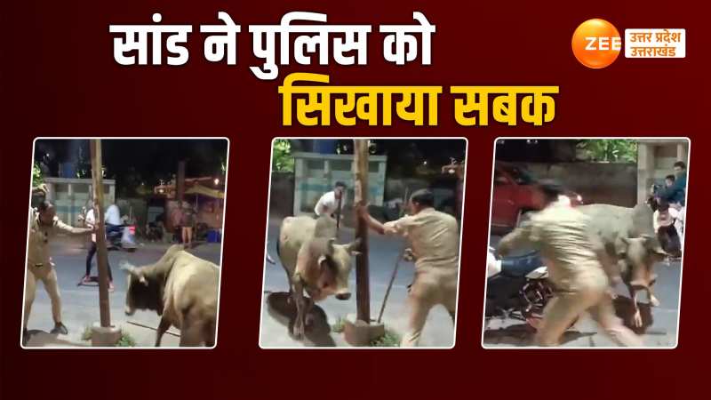 Saand ka video: पुलिसकर्मी और सांड के बीच सड़क पर हुआ मुकाबला