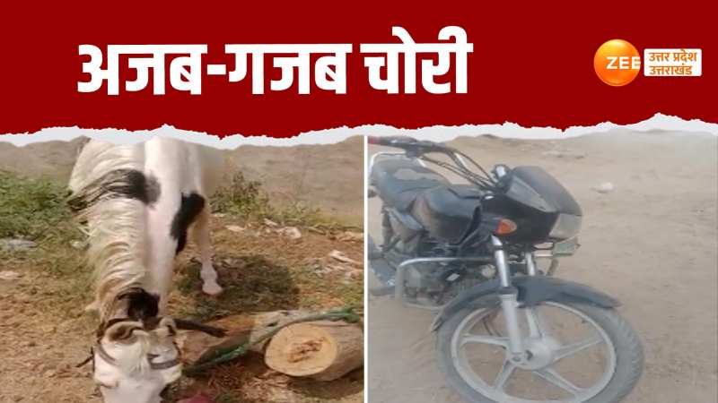 Noida Video: सोना-चांदी नहीं...चोर घर से उड़ा ले गए घोड़ा, छोड़ दी अपनी बाइक 