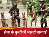 Army Dogs: सेना के कुत्तों को रिटायरमेंट के बाद मार दी जाती है गोली? जानें सच्चाई और उनकी सुविधाओं की पूरी कहानी