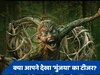 Munjya Teaser Out: 'स्त्री' के बाद अब 'मुंजया' लेकर दिनेश विजान, खौफनाक टीजर हुआ रिलीज