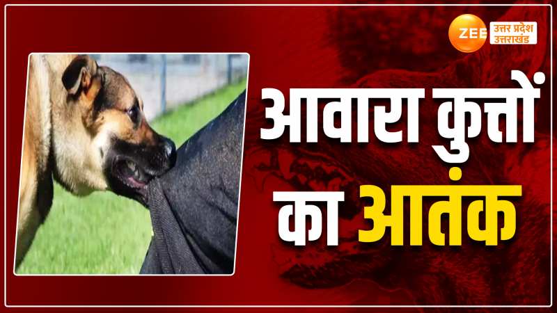 Kanpur Video: कुत्तों ने फुटपाथ पर सोए भाई-बहनों को नोंच डाला, 1 की मौत; 1 गंभीर