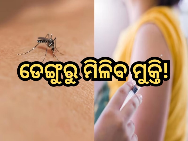 Dengue Vaccine: ଆସିଲା ଡେଙ୍ଗୁ ଟିକା, ବିଶ୍ବ ସ୍ବାସ୍ଥ୍ଯ ସଂଗଠନ କଲା ଅନୁମୋଦନ