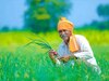 PM Kisan: पीएम किसान सम्मान निधि को लेकर बड़ा अपडेट, इस दिन खाते में आ सकती है 17वीं किस्त