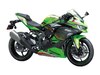 Kawasaki Ninja ZX-4RRq