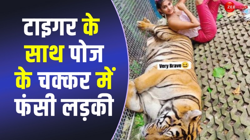टाइगर से चिपककर फोटो खिंचवाने लगी खूबसूरत महिला, बाघ ने ली करवट तो दुम दबाकर भागी