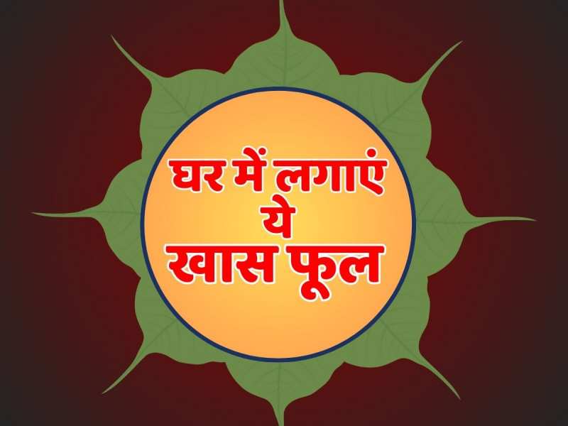 Astrology: ये खास फूल दूर करता है सारे कष्ट घर लेकर आता है वैभव और सौभाग्य, जानें 