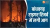 MP News: बांधवगढ़ टाइगर रिजर्व में लगी आग, मची अफरा- तफरी, देखें वीडियो 