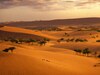 दुनिया का सबसे बड़ा गर्म रेगिस्तान; 10 देशों में है फैला, भारत से दोगुना है इसका साइज