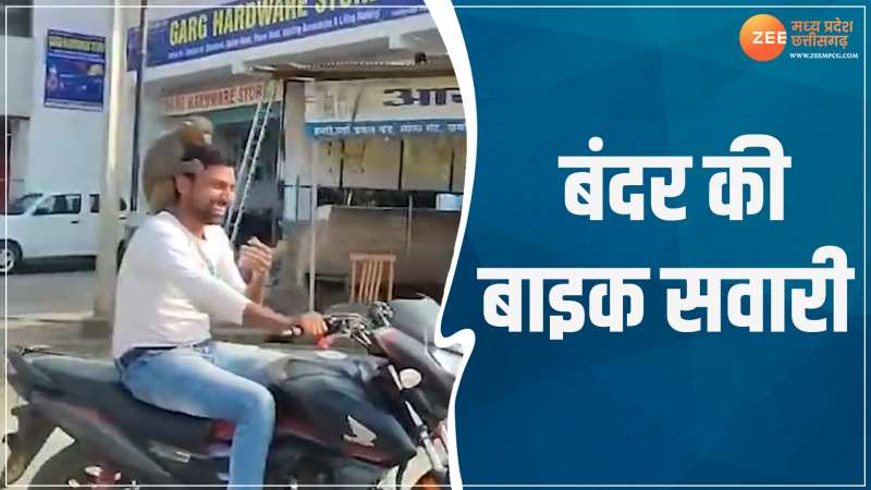 VIDEO: सैर पर निकला बंदर, बाइक पर देख हैरान हुए लोग