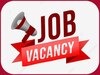 BECIL Jobs के लिए 8वीं पास कर सकते हैं आवेदन, कंटेंट ऑडिटर और कई पदों पर निकली भर्ती