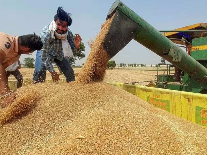 गेहूं के स्‍टॉक की ल‍िम‍िट तय, बढ़ती महंगाई पर लगाम लगाने के ल‍िए सरकार का बड़ा कदम