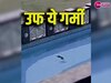 Viral Video: गर्मी से परेशान बंदर ने पूल में लगाई छलांग, देखें मजेदार वीडियो