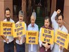 Arvind Kejriwal: संसद परिसर में AAP सांसदों ने किया प्रदर्शन, सुनीता केजरीवाल बोलीं, प्रार्थना करूंगी-तानाशाह का नाश हो 
