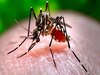 Zika Virus Case: पुणे में आए जीका वायरस के 6 मामले, दो गर्भवती महिलाएं भी पीड़ित