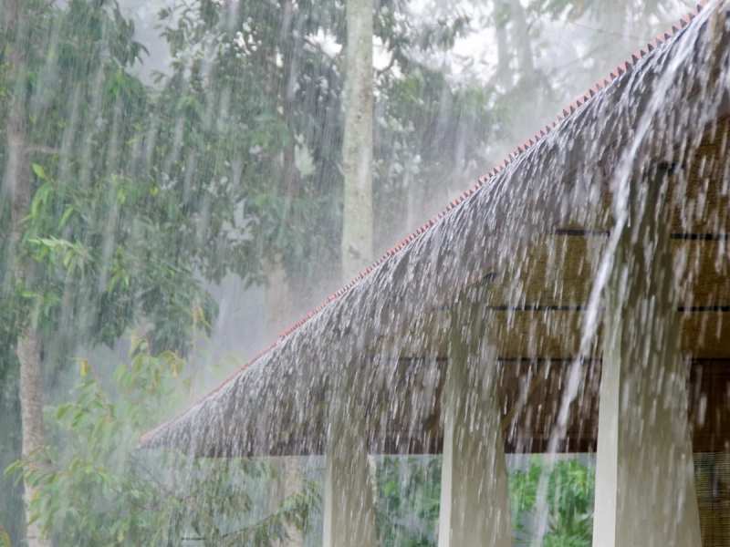 Monsoon: बारिश के मौसम में इन बातों का रखें ध्यान, बीमारियों से करें अपना बचाव