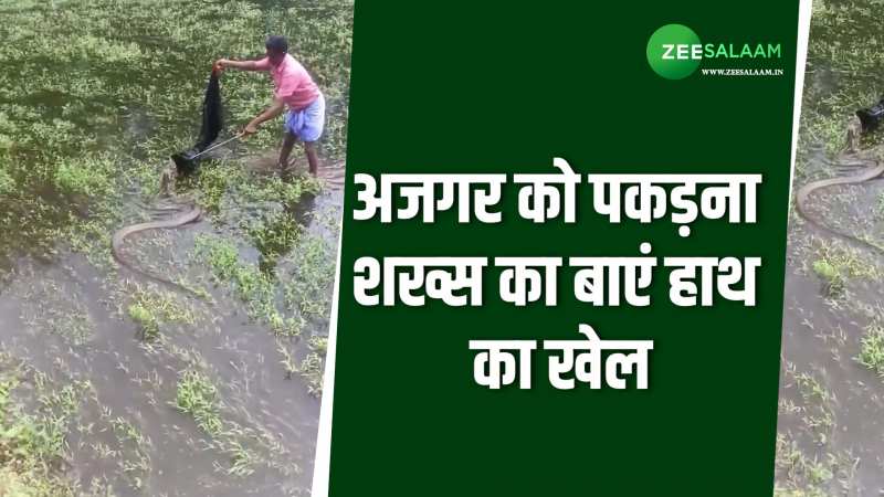 Video: मछली की तरह शख्स ने पानी में पकड़ लिया अजगर सांप, देखने वालों के उड़ गए होश