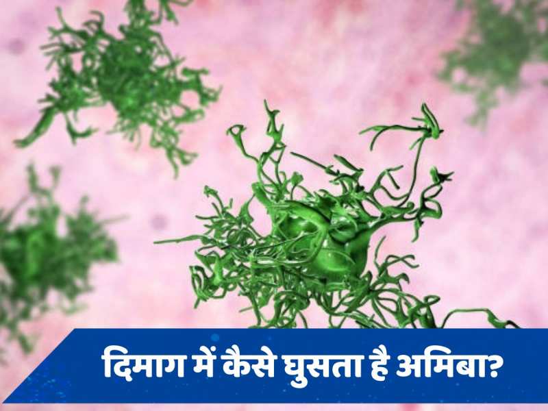 Brain Eating Amoeba: दिमाग में अमीबा घुसने के क्या हैं संकेत, जानें लक्षण और बचाव