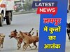 Jaipur: पिंकसिटी में नहीं थम रहा कुत्तों का आतंक! कई बार हो चुकी डॉग बाइट की घटना 