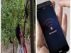 फोन पर बात करने के लिए लोगों को चढ़ना पड़ता है पहाड़ 