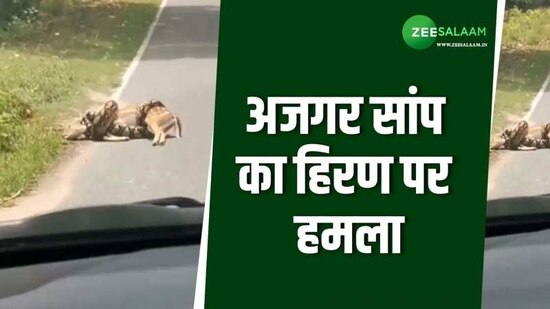 Video Thumbnail
