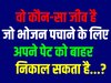 Quiz: वो कौन सा जीव है, जो भोजन पचाने के लिए अपने पेट को शरीर से बाहर निकाल सकता है?