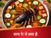 Cockroach in Sambhar: हे भगवान! फाइव स्टार होटल में सांभर में मिला मरा कॉकरोच