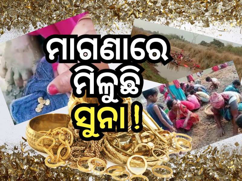 Free Gold: ମାଗଣାରେ ମିଳୁଛି ସୁନା ! ନେବାକୁ ଲୋକଙ୍କ ଭିଡ଼