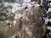 Himachal Pradesh का एक ऐसा शिव मंदिर जहां पानी की बूंदें गिरने से तैयार होते हैं शिवलिंग