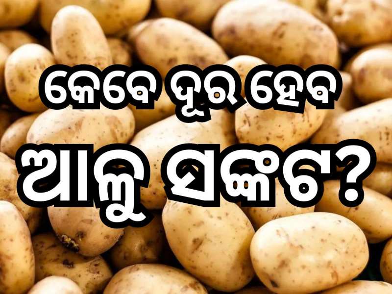 Potato Crisis: ଆଜୁ କେଜି ଛୁଇଁଲା ୬୦! ଚିନ୍ତାରେ ଖାଉଟି