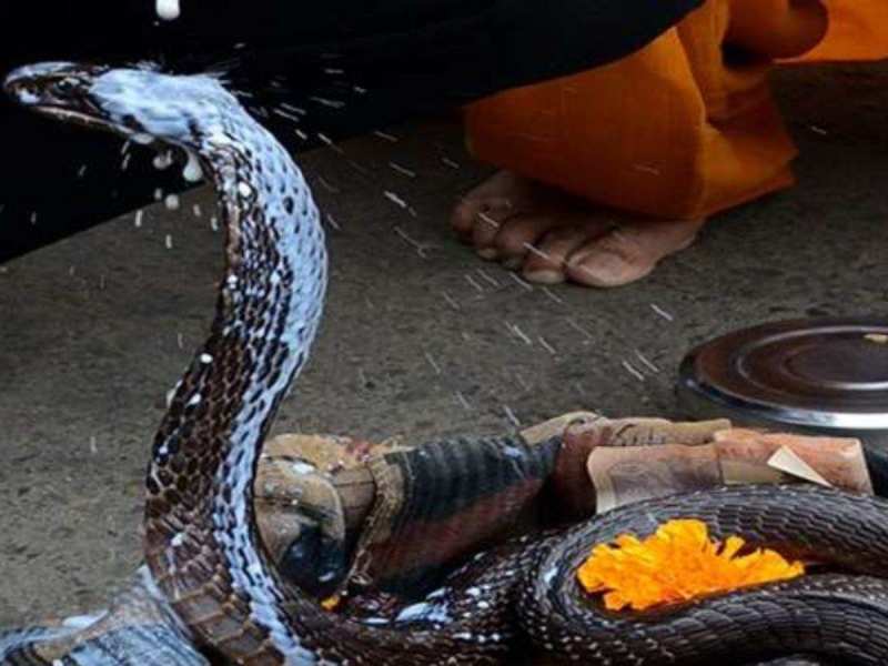 Nag Panchami 2024: क्यों बेहद खास है इस बार की नागपंचमी? इस शुभ मुहूर्त में पूजा करने से खुल जाएंगे भाग्य