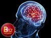 Vitamin B12 deficiency: शरीर ही नहीं, दिमाग को भी अंदर से खोखला कर देता है विटामिन बी12 की कमी; तुरंत खाना शुरू करें 4 शाकाहारी फूड