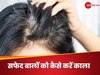 White Hair: 30 साल के हुए भी नहीं और सिर पर आ गए सफेद बाद, जानिए वापस कैसे पाएं काली जुल्फें
