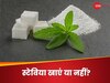 Stevia: डायबिटीज के मरीज चीनी की जगह स्टेविया खा सकते हैं या नहीं? जानिए इस स्वीटनर के फायदे और नुकसान