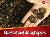 Mescaline: दिल्ली में पुलिस को पहली बार मिली नई ड्रग की खेप, क्या है और कितनी खतरनाक है मेस्केलीन?