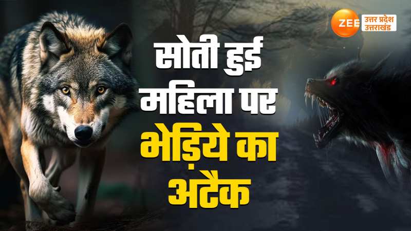 Bahraich Wolf Attack: बहराइच में फिर आया भेड़िया, चकमा देकर हुआ फरार; वीडियो देखें