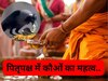 Pitru Paksha 2024: पूर्वजों की मुक्ति का कौओं से है क्या कनेक्शन? गरुड़ पुराण में छिपा है चौंका देने वाला रहस्य