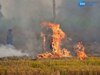 Stubble Burning Case: 15 ਤੋਂ 19 ਤਾਰੀਕ ਤੱਕ ਪਰਾਲੀ ਸਾੜਨ ਦੇ 18 ਮਾਮਲੇ ਆਏ ਸਾਹਮਣੇ! ਕਿਸਾਨਾਂ ਨੂੰ ਜੁਰਮਾਨਾ ਲਾਉਣ ਦੇ ਆਦੇਸ਼