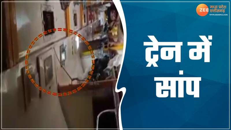 ट्रेन में यात्रियों को दिखा सांप, Video हो रहा वायरल 