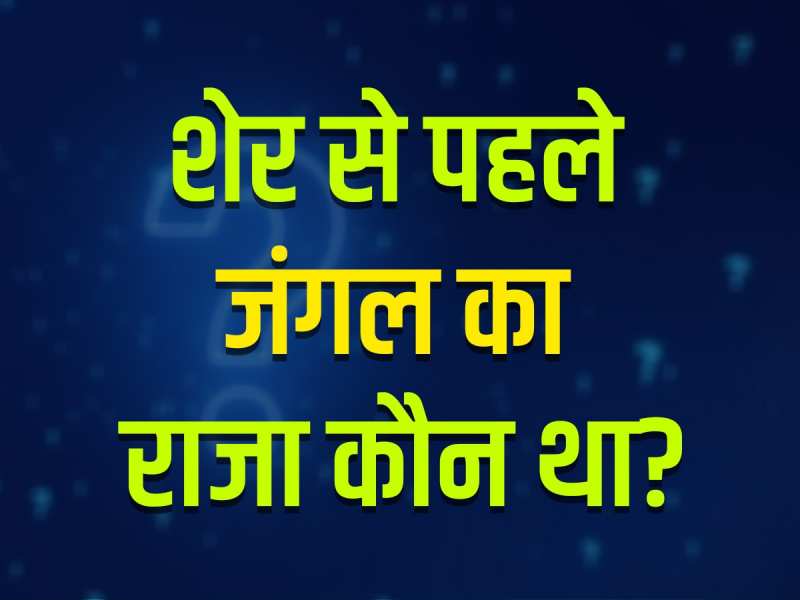 GK Quiz: शेर से पहले जंगल का राजा कौन था?