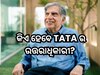 Ratan Tata’s successors