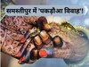 समस्तीपुर 'पकड़ौआ विवाह'! रेलवे कर्मचारी प्रेमी की जबरन शादी, सरकारी नौकरी लगने के बाद मांगने लगा बुलेट तो कभी 10 लाख रुपए दहेज 