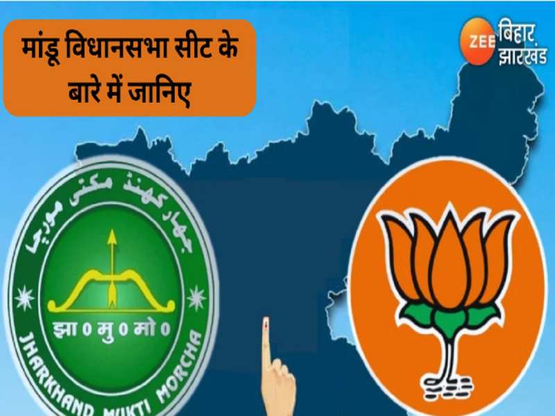 Mandu Assembly Seat: मांडू विधानसभा सीट का एक क्लिक में जानिए इतिहास