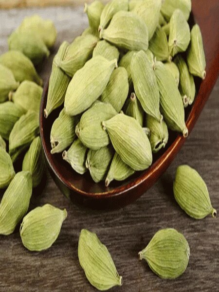 जेब में रखें सिर्फ 1 इलायची, चंद दिनों में लाइफ में होंगे चमत्कार!  