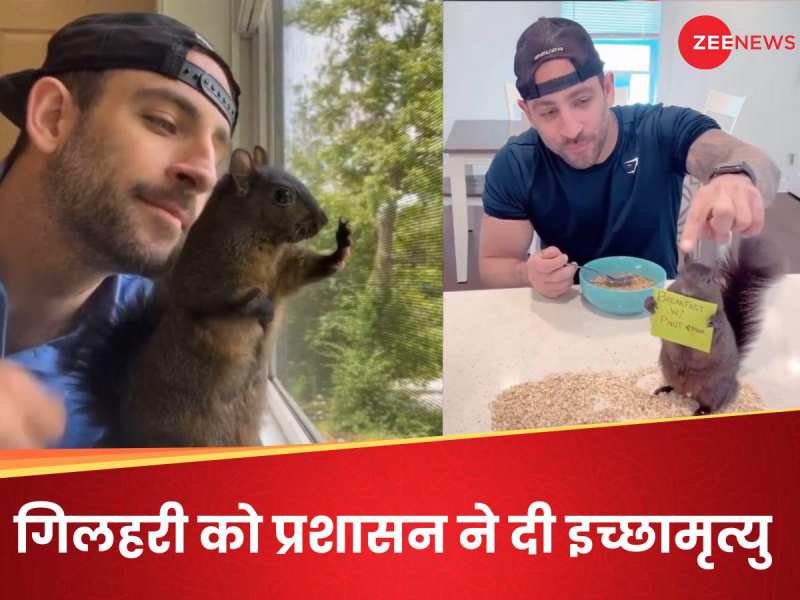 इंस्टा पर लाखों फॉलोअर्स, लोगों की चहेती, दिल जीतने वाली गिलहरी को मिली इच्छामृत्यु